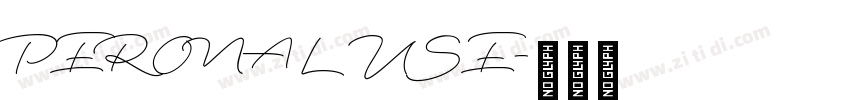 PERONAL USE字体转换